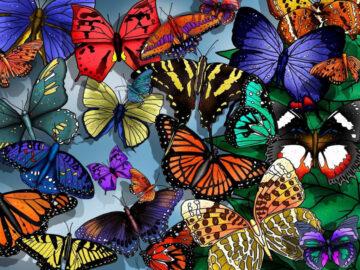 Thumbnail Soñar con Mariposas de Colores