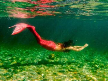 Soñar con Sirenas de Rio